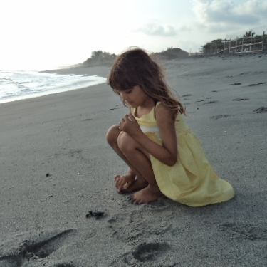 PLANT A FISH INC's Photo