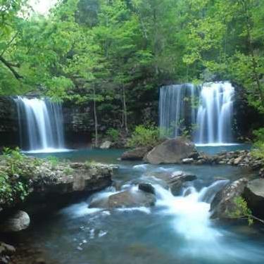 Groupon Earth Day Challenge Photo