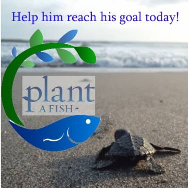 PLANT A FISH INC's Photo