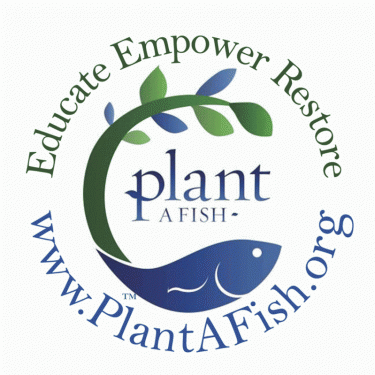 Team Organizer's Photo