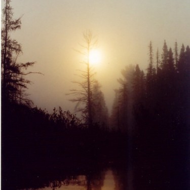 YELLOW DOG WATERSHED PRESERVE INC's Photo