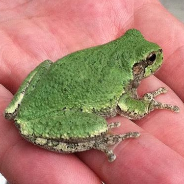 Groupon Earth Day Challenge's Photo