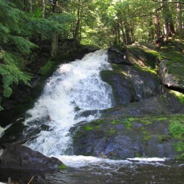 YELLOW DOG WATERSHED PRESERVE INC's Photo