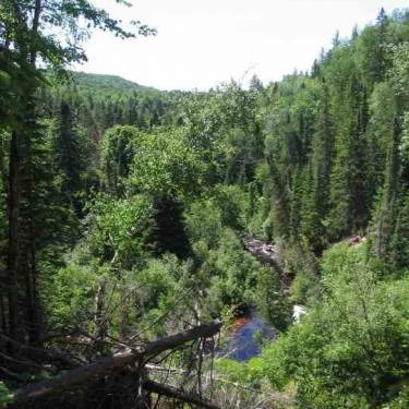 YELLOW DOG WATERSHED PRESERVE INC's Photo