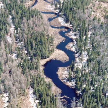 YELLOW DOG WATERSHED PRESERVE INC's Photo