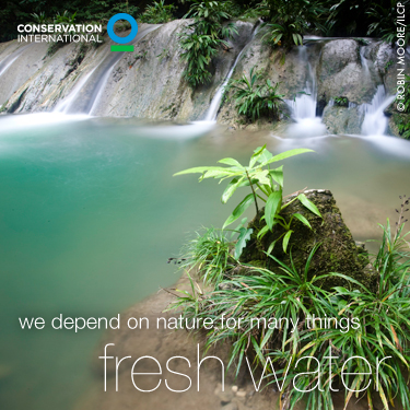 Conservation International's Photo