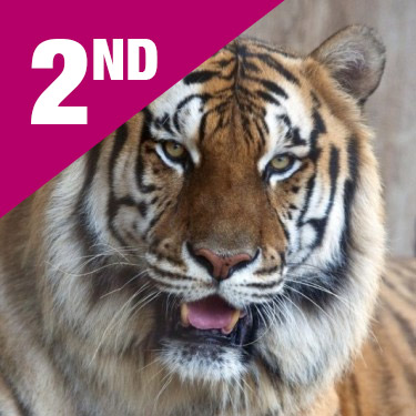 CENTRAL FLORIDA ANIMAL RESERVE INC's Photo