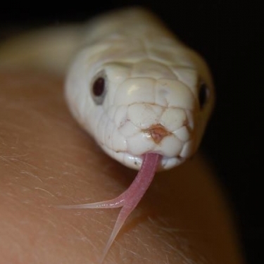 Irvine Natural Science Center, Inc.'s Photo