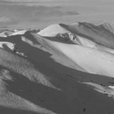 Groupon Earth Day Challenge Photo