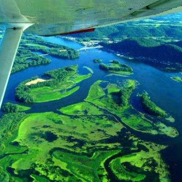 Groupon Earth Day Challenge's Photo