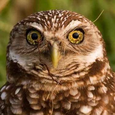 Groupon Earth Day Challenge Photo