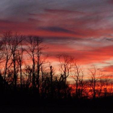Irvine Natural Science Center, Inc.'s Photo