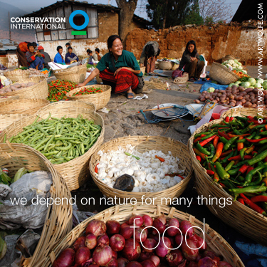 Conservation International's Photo