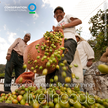 Conservation International's Photo