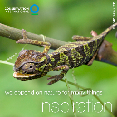 Conservation International's Photo