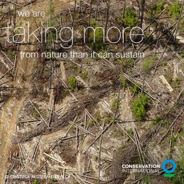 Conservation International's Photo