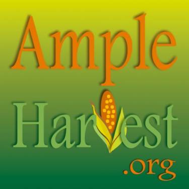 AMPLEHARVEST ORG's Photo