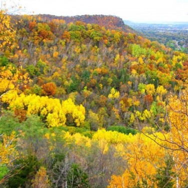 Groupon Earth Day Challenge's Photo