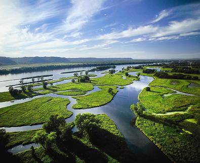 Groupon Earth Day Challenge's Photo