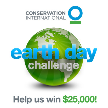 Conservation International's Photo