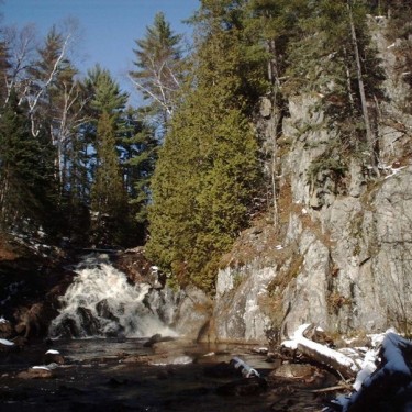 YELLOW DOG WATERSHED PRESERVE INC's Photo