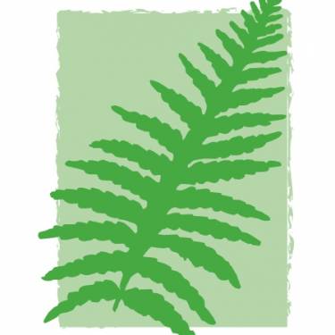 Team Organizer's Photo