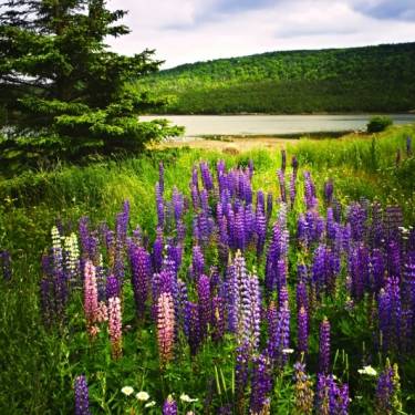 Team Organizer's Photo