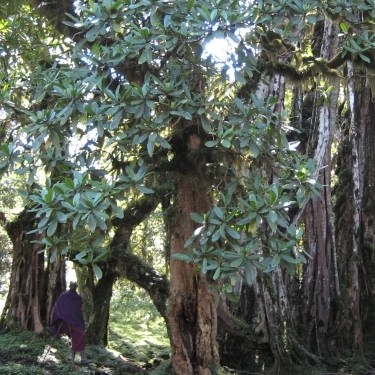 Groupon Earth Day Challenge's Photo