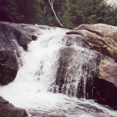 Groupon Earth Day Challenge's Photo