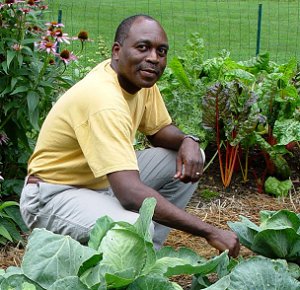 AMPLEHARVEST ORG's Photo