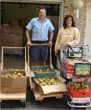 AMPLEHARVEST ORG's Photo