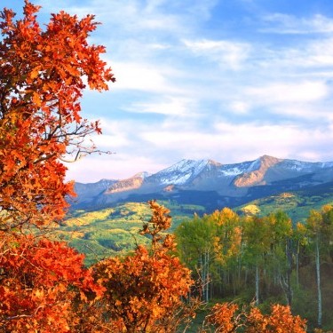 Rocky Mountain Wild's Photo