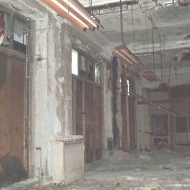 WOODWARD AVENUE ACTION ASSOCIATION INC's Photo