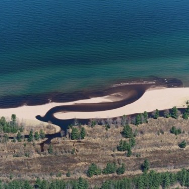 YELLOW DOG WATERSHED PRESERVE INC's Photo