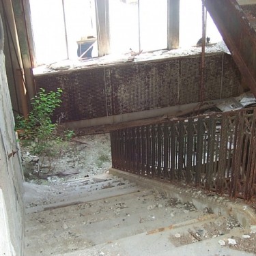 WOODWARD AVENUE ACTION ASSOCIATION INC's Photo