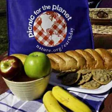 The Nature Conservancy's Photo