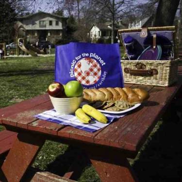 The Nature Conservancy's Photo