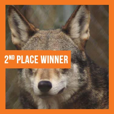 Team Organizer's Photo