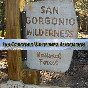 Team Organizer's Photo