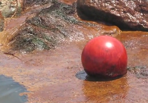 Laura 'Lolly''s Photo