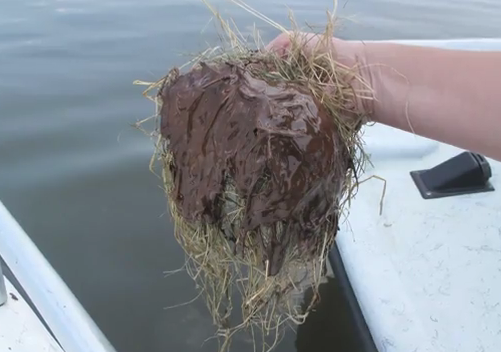 Laura 'Lolly''s Photo