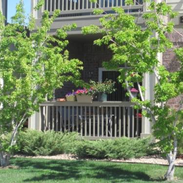 Subsidized Transplant Housing