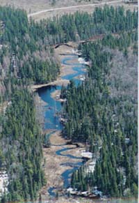 YELLOW DOG WATERSHED PRESERVE INC's Photo