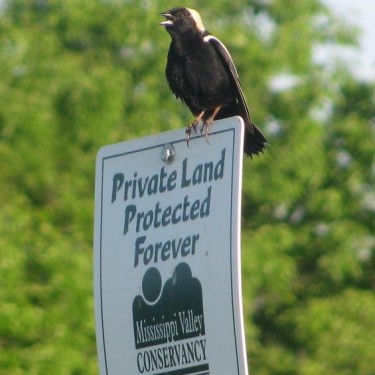 Groupon Earth Day Challenge's Photo