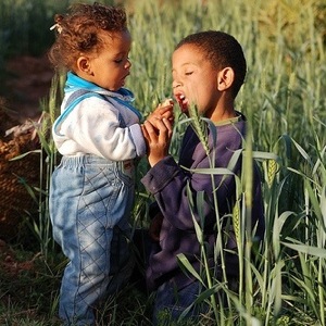 Spanish Translation Program