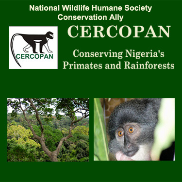CERCOPAN Primates - Nigeria