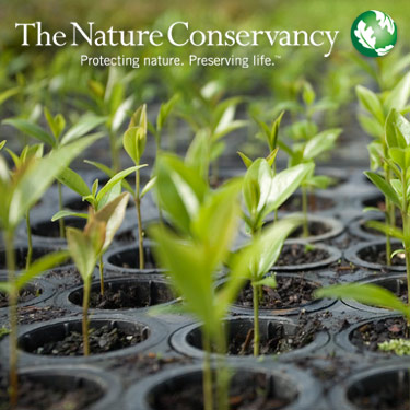 The Nature Conservancy's Photo