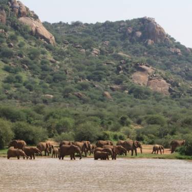 MPALA WILDLIFE FOUNDATION's Photo