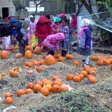 HARLEM GROWN's Photo