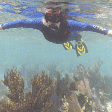 PLANT A FISH INC's Photo